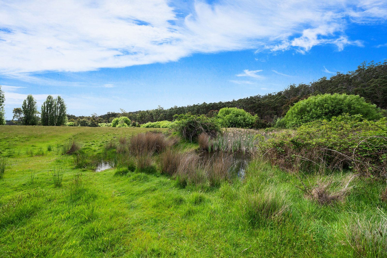 Lot 1 Ellendale Road WESTERWAY 15