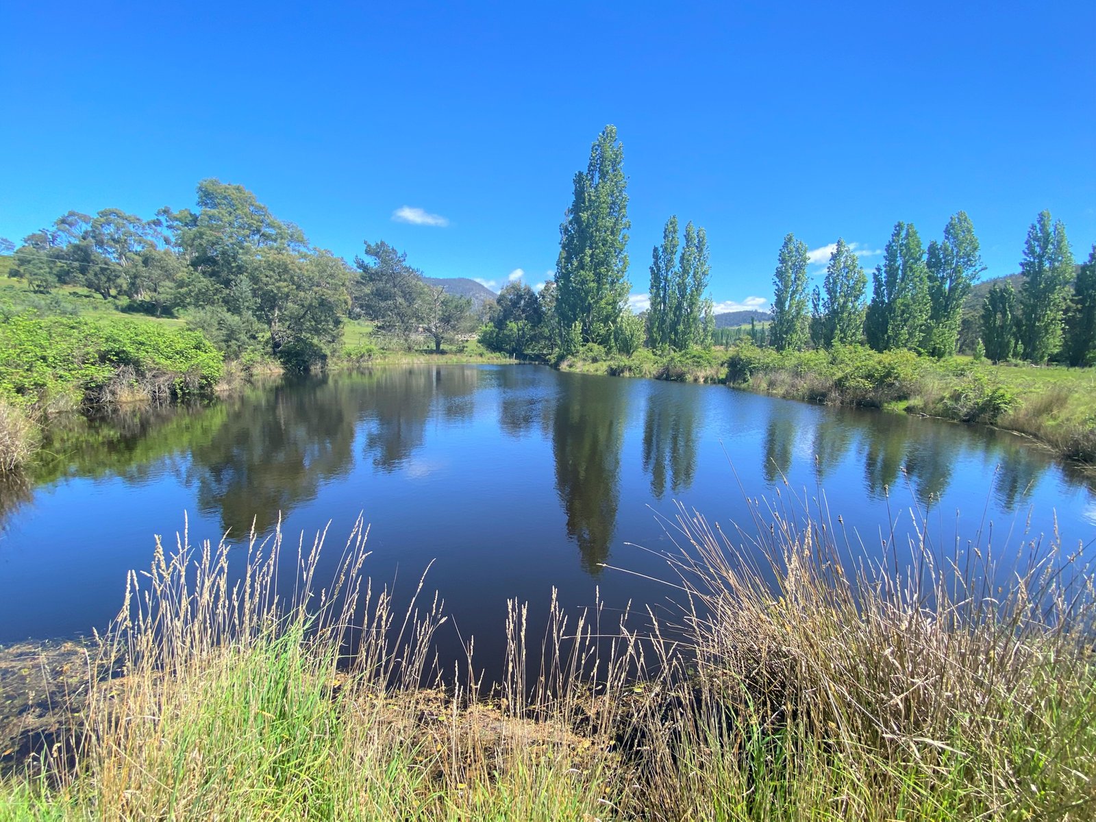 Lot 1 Ellendale Road WESTERWAY 23