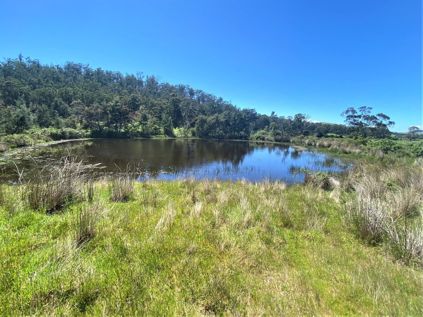 Lot 1 Ellendale Road WESTERWAY 26