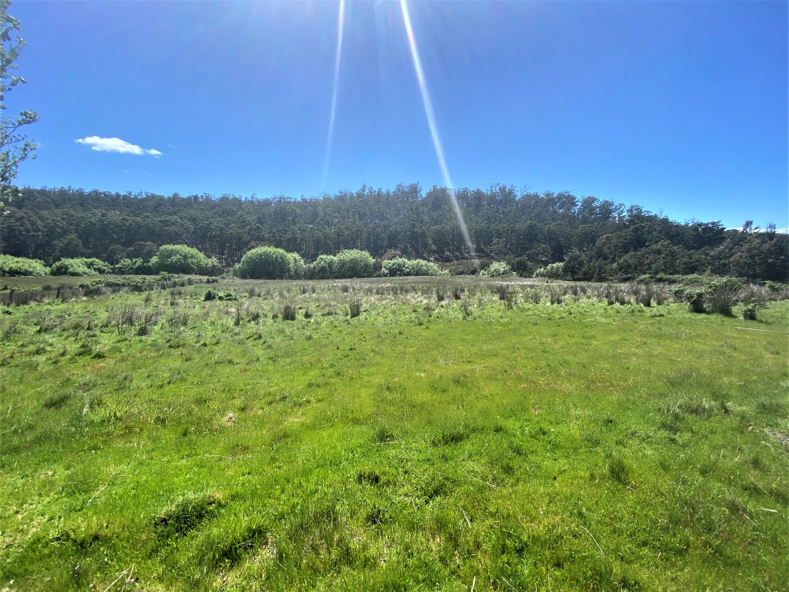 Lot 1 Ellendale Road WESTERWAY 27