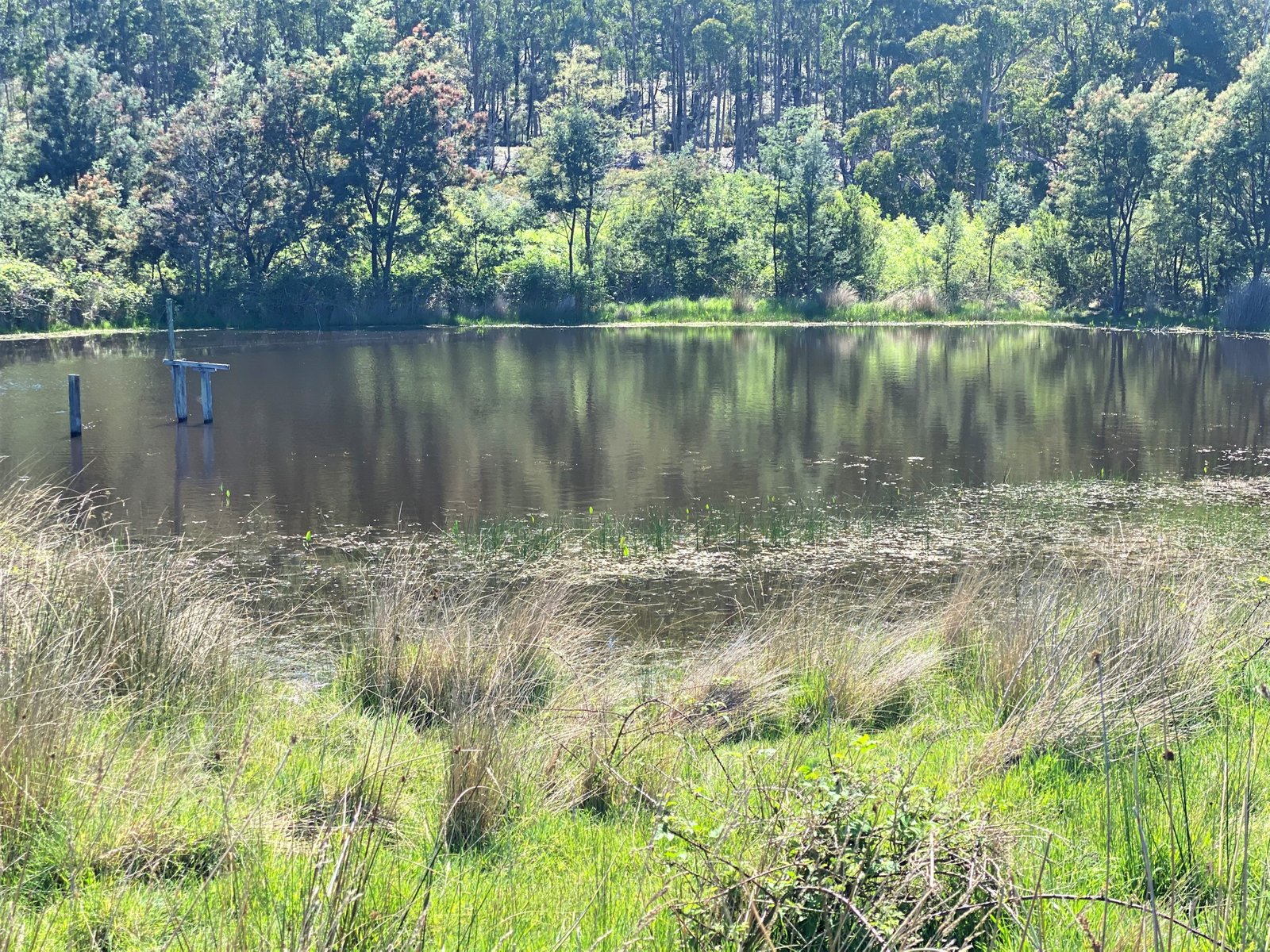 Lot 1 Ellendale Road WESTERWAY 28