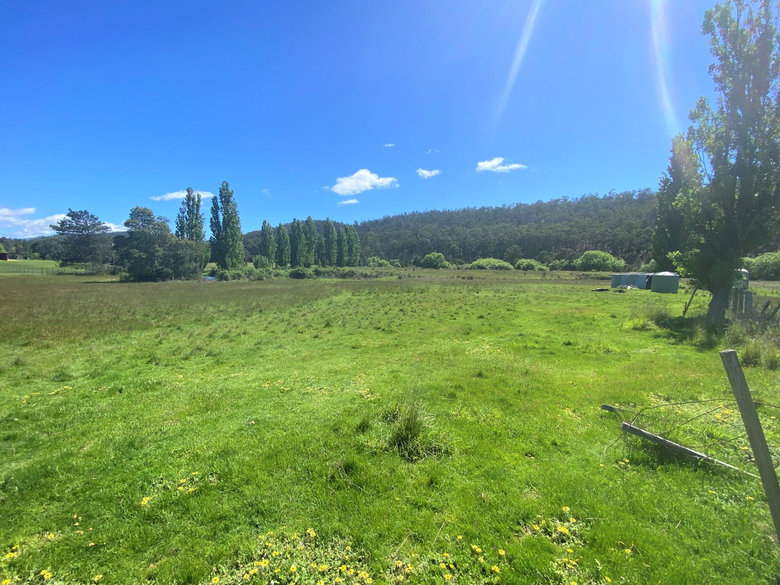 Lot 1 Ellendale Road WESTERWAY 29