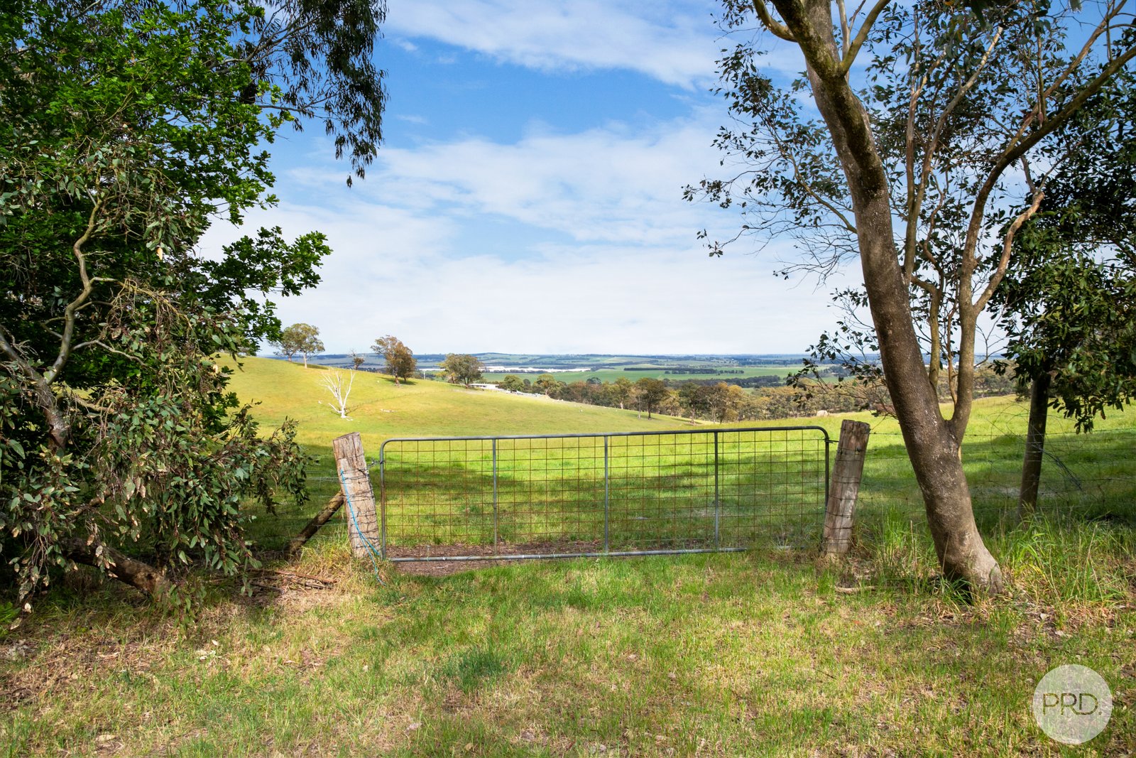 Lot 1 Flagstaff Ridge Road LINTON 3