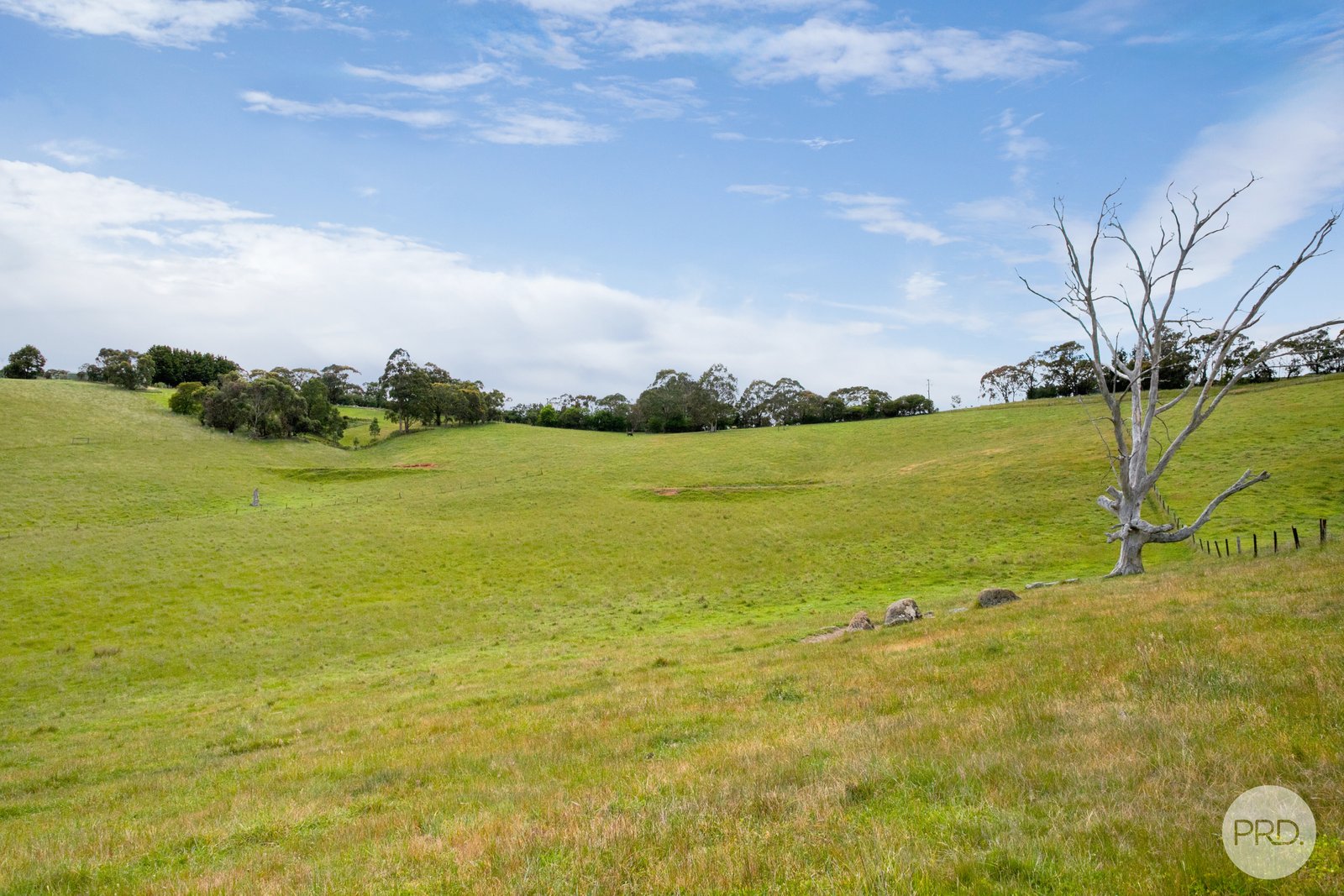 Lot 1 Flagstaff Ridge Road LINTON 4