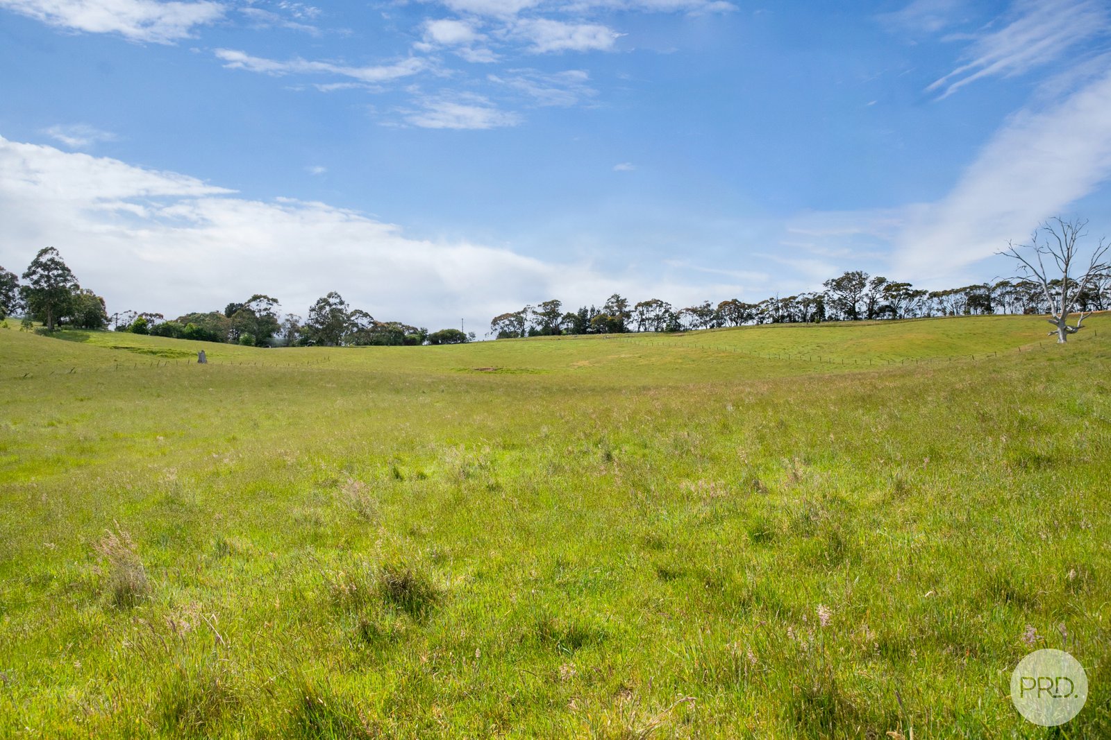 Lot 1 Flagstaff Ridge Road LINTON 5