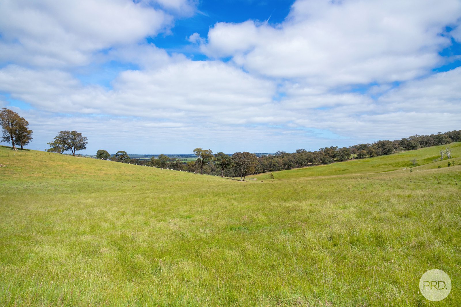 Lot 1 Flagstaff Ridge Road LINTON 6