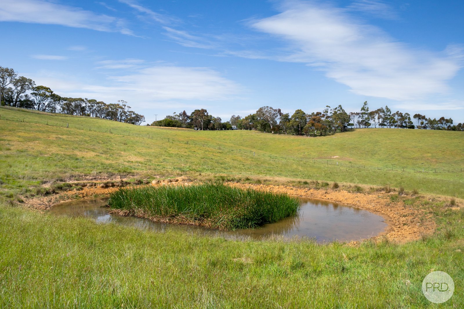 Lot 1 Flagstaff Ridge Road LINTON 7