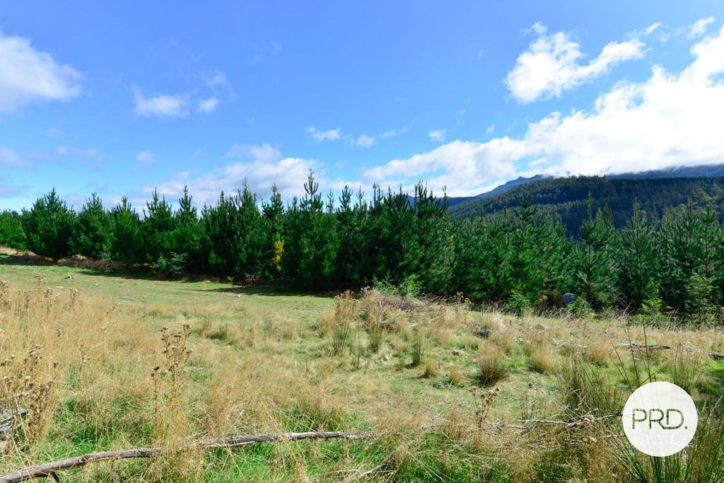 Lot 1 Gordon River Road FITZGERALD 13