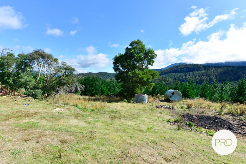 Lot 1 Gordon River Road FITZGERALD 15