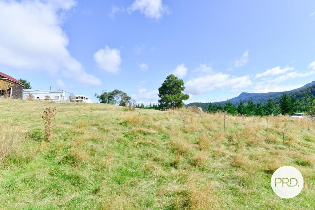 Lot 1 Gordon River Road FITZGERALD 17