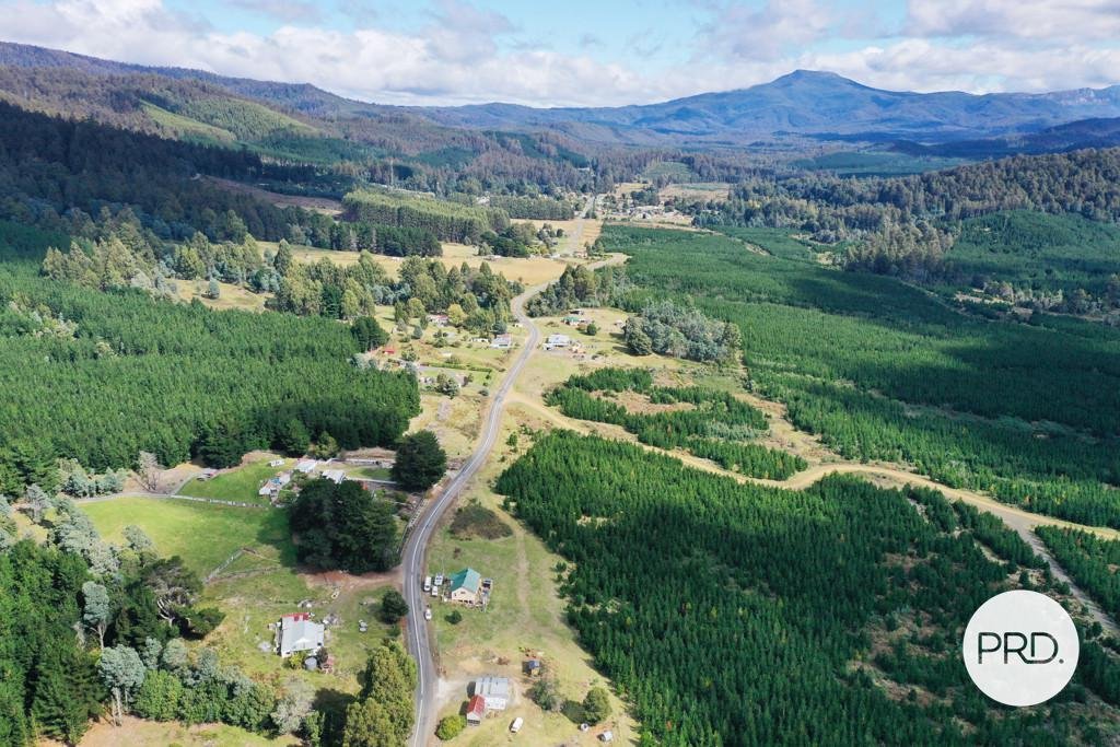 Lot 1 Gordon River Road FITZGERALD 22