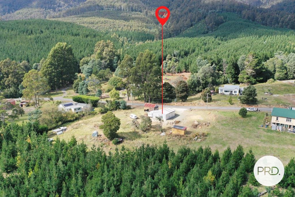 Lot 1 Gordon River Road FITZGERALD 23