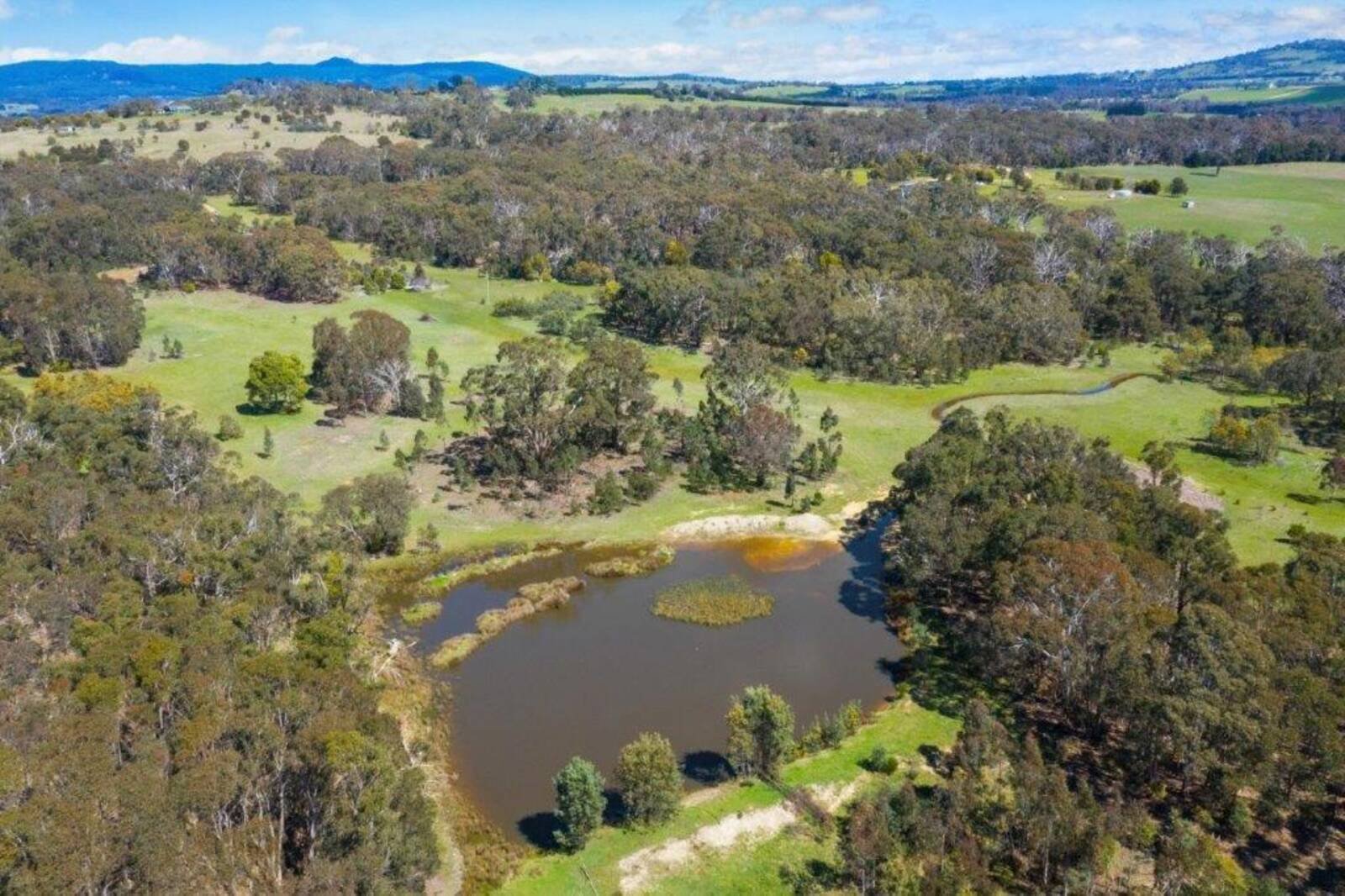 Real Estate and Property in Lot 1 Hennerbergs Road, Cobaw, VIC