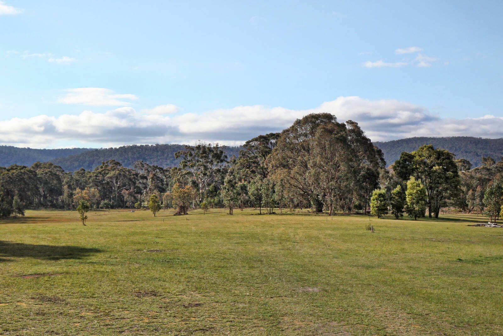 Real Estate and Property in Lot 1 Hennerbergs Road, Cobaw, VIC