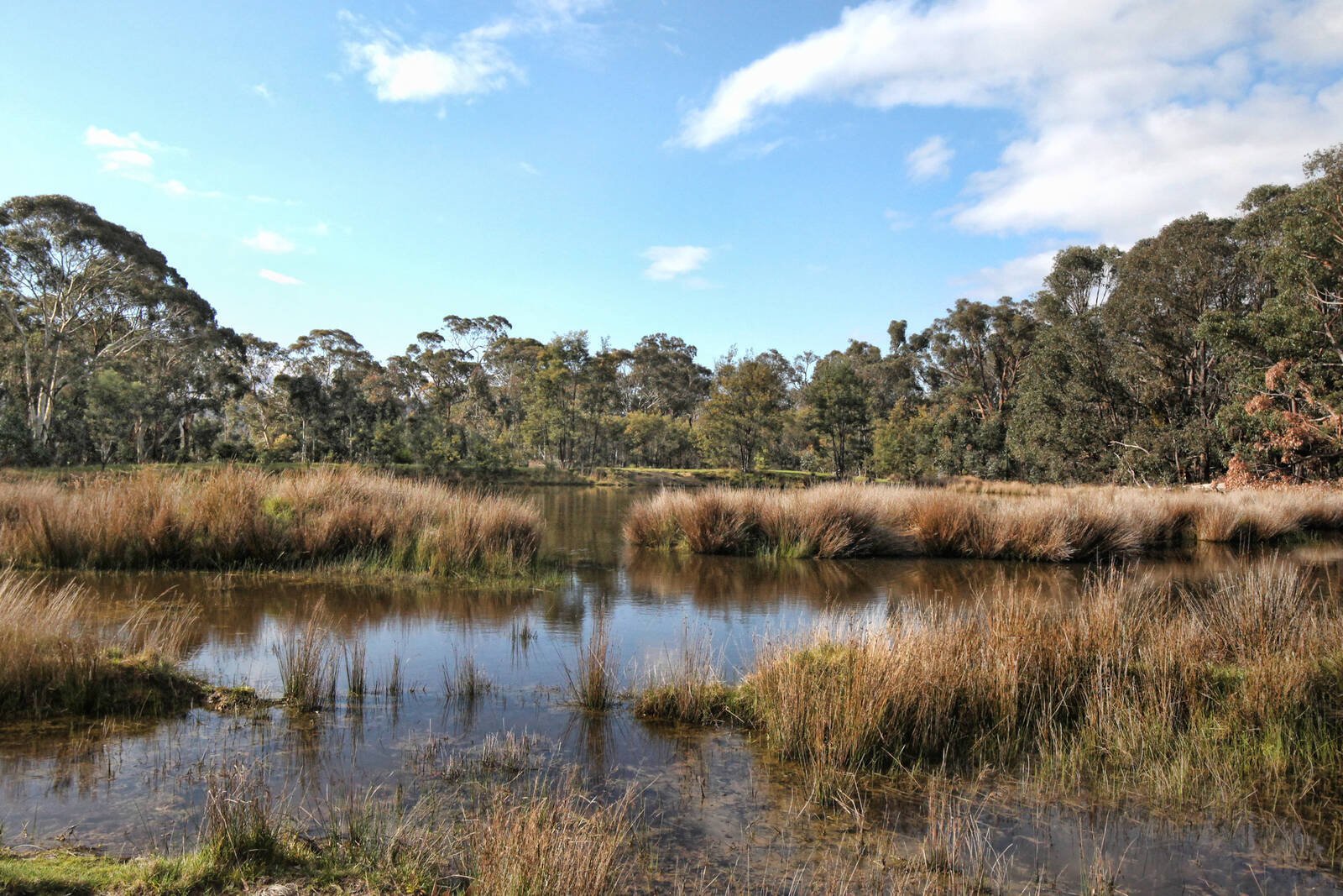 Real Estate and Property in Lot 1 Hennerbergs Road, Cobaw, VIC