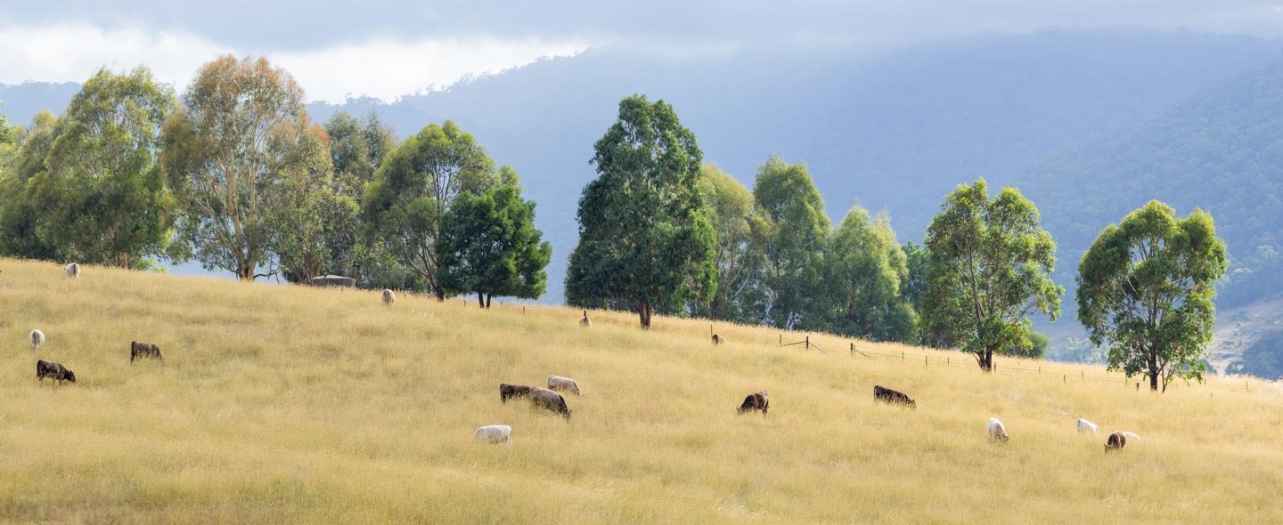 Lot 1 Hilltop Road TUMBARUMBA 1
