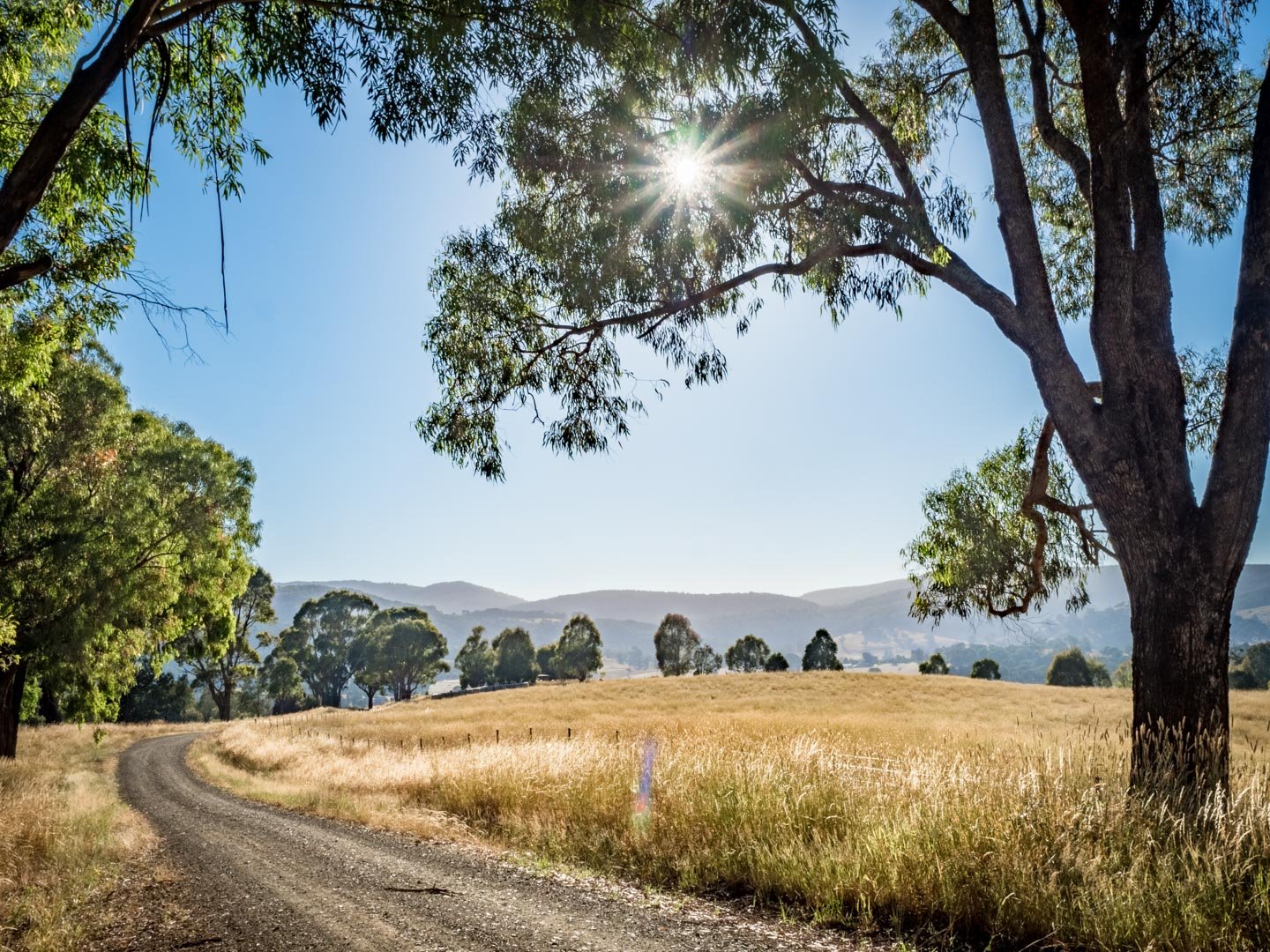 Lot 1 Hilltop Road TUMBARUMBA 2