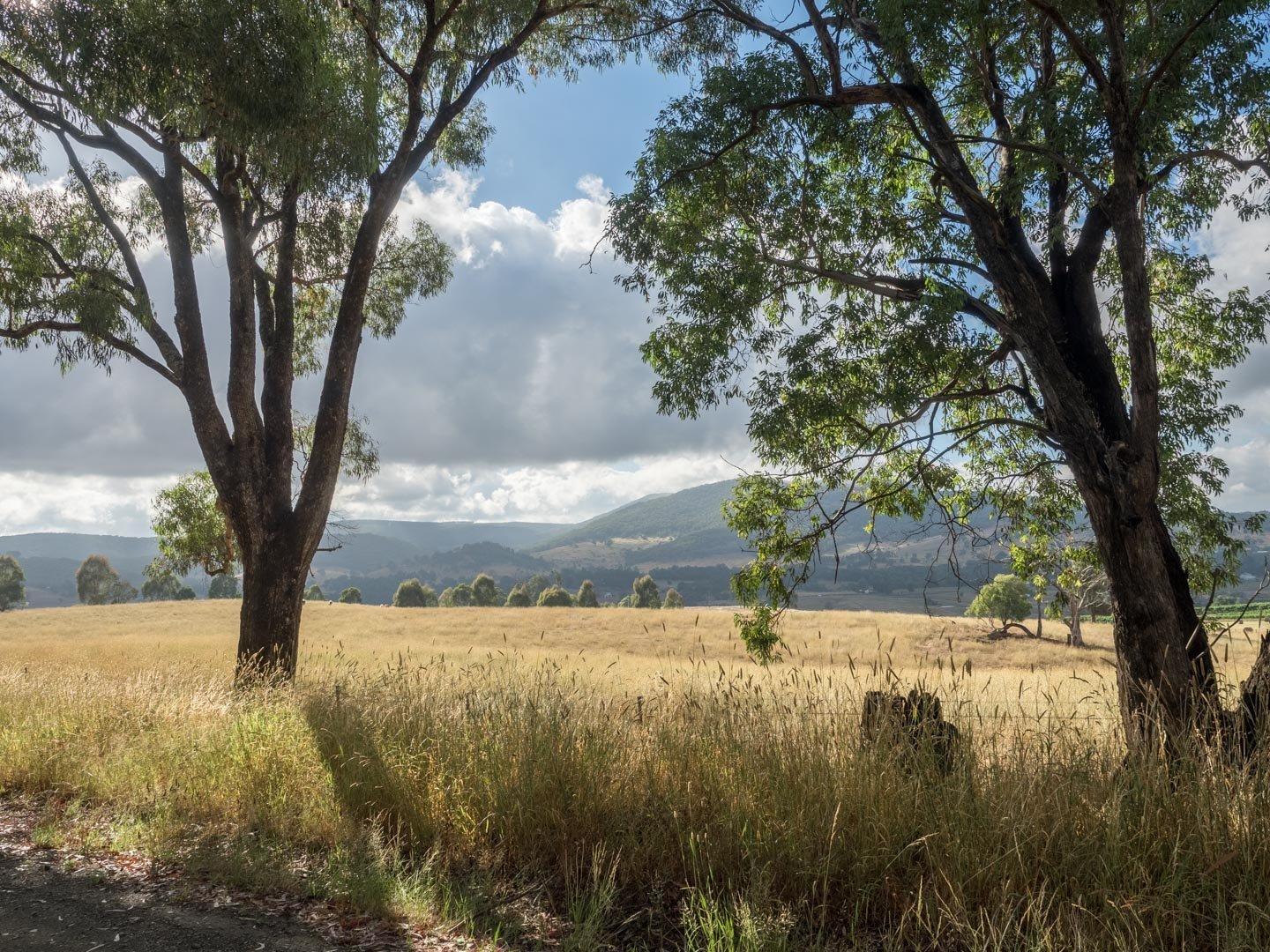 Lot 1 Hilltop Road TUMBARUMBA 4