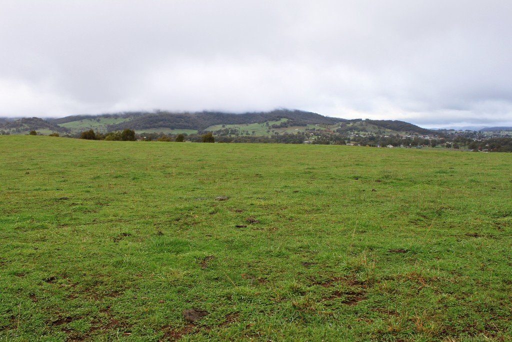 Lot 1 Hilltop Road TUMBARUMBA 5