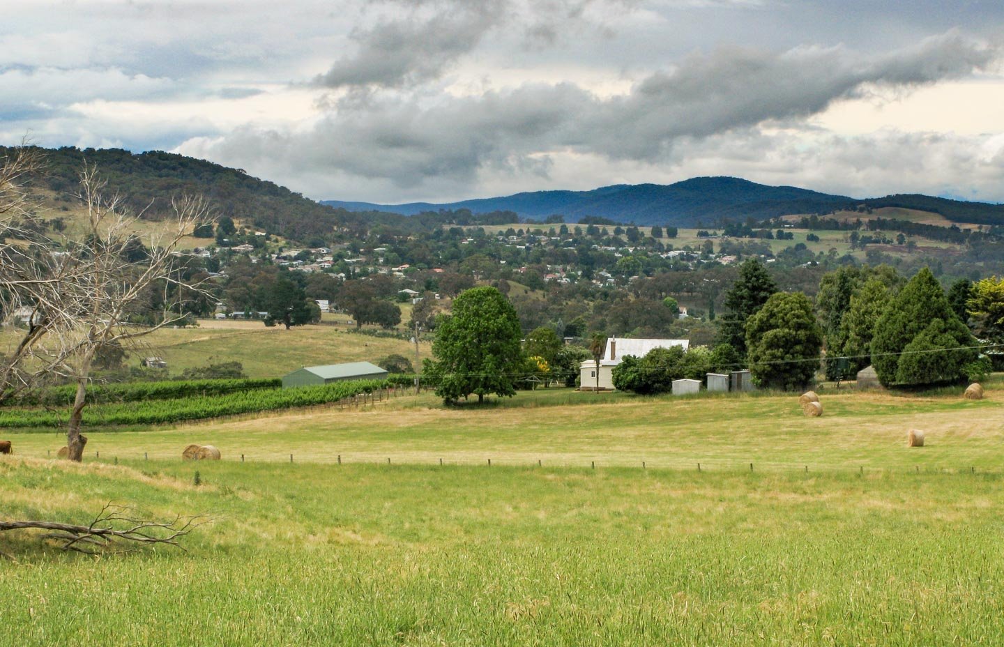 Lot 1 Hilltop Road TUMBARUMBA 6