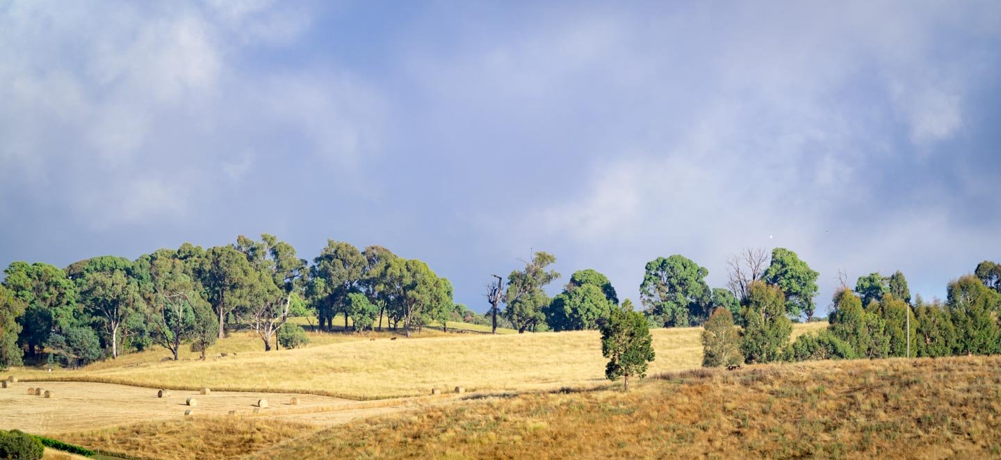 Lot 1 Hilltop Road TUMBARUMBA 10