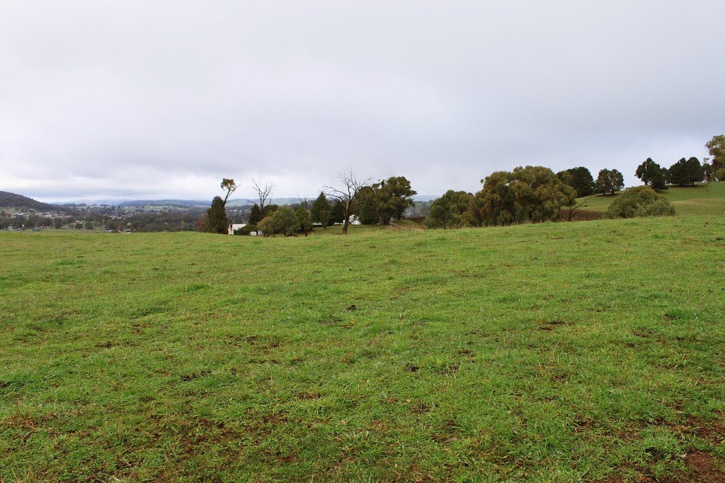 Lot 1 Hilltop Road TUMBARUMBA 13