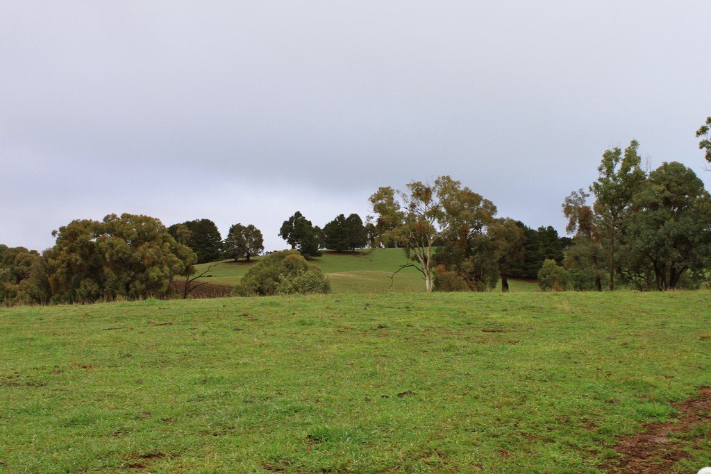 Lot 1 Hilltop Road TUMBARUMBA 14