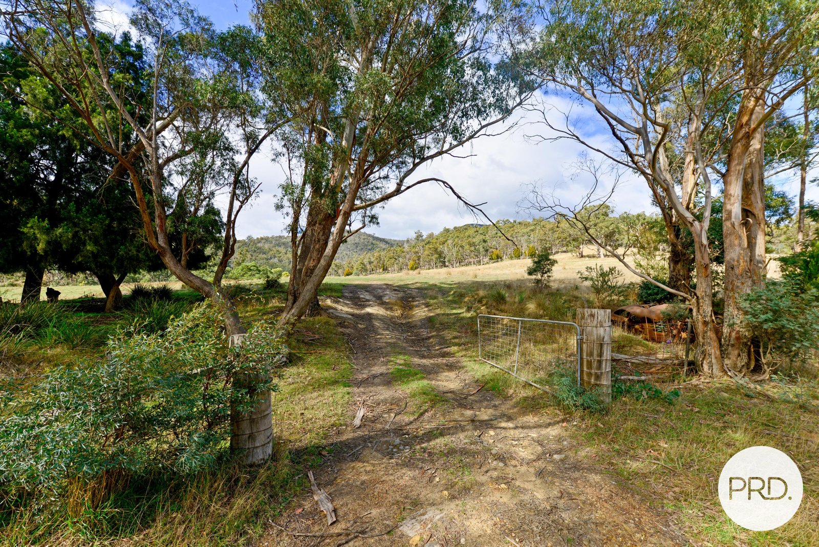  Hydehurst Road LACHLAN 10