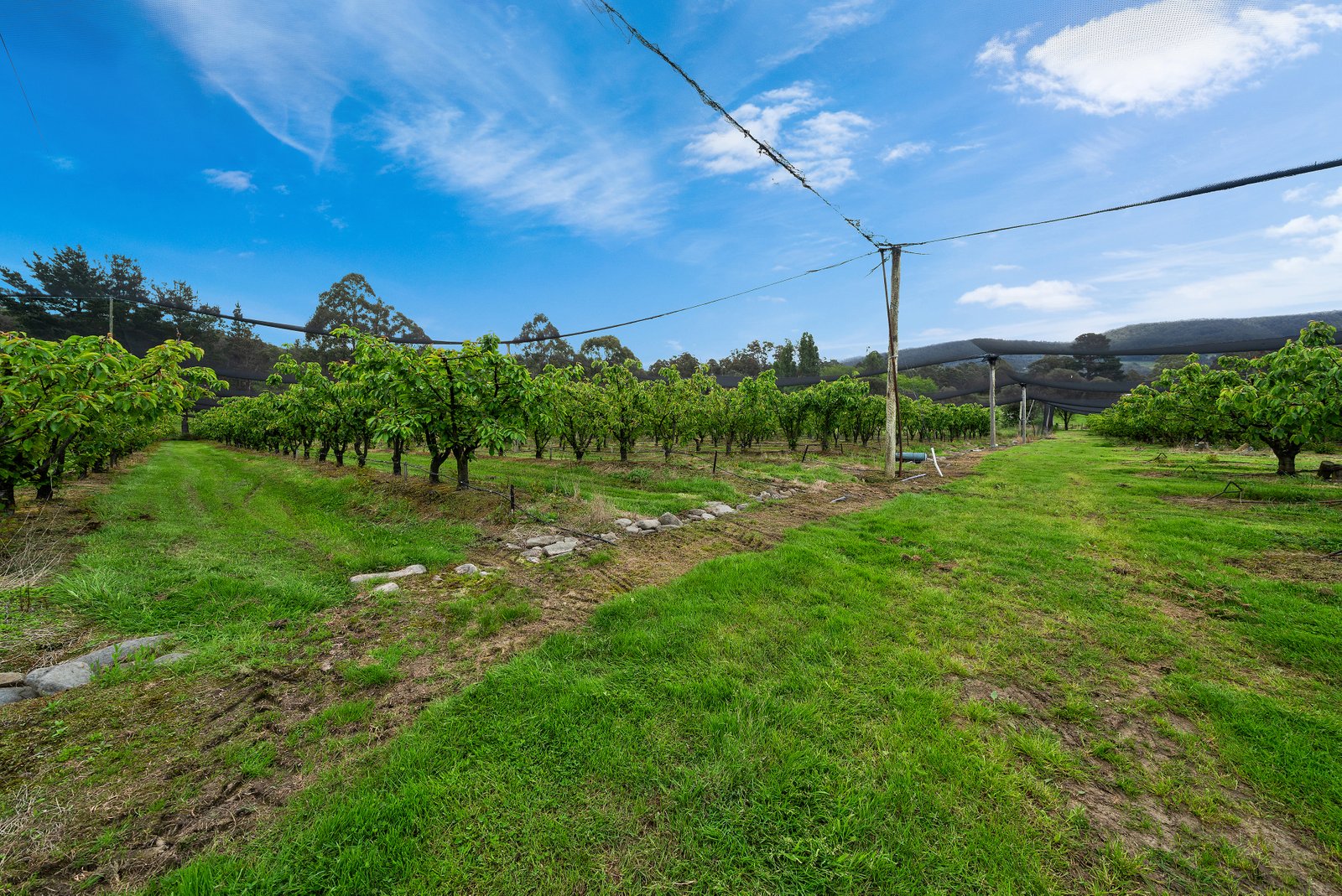  Lot 1 Hydehurst Road LACHLAN 7