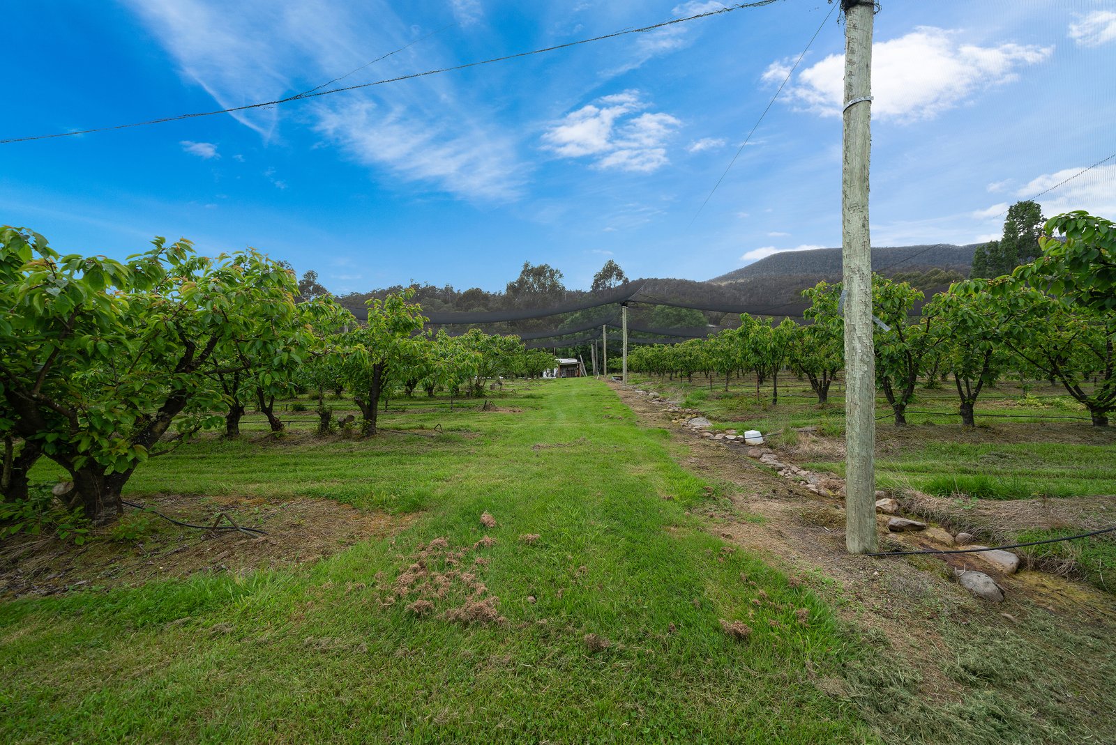  Lot 1 Hydehurst Road LACHLAN 15
