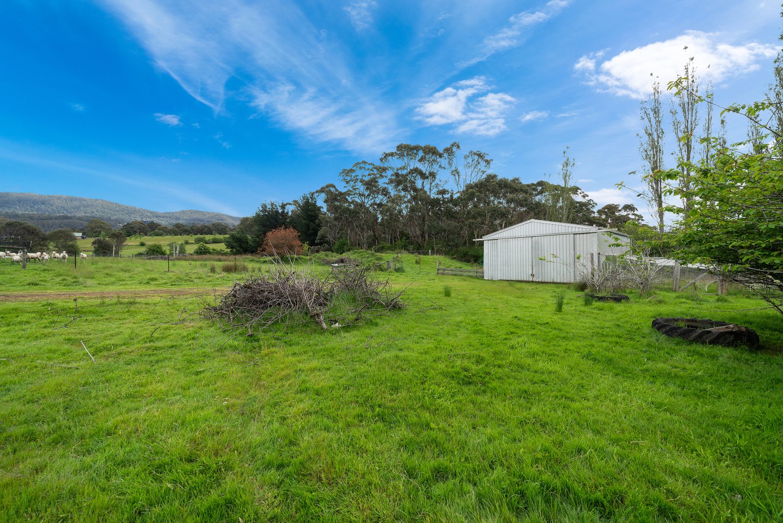  Lot 1 Hydehurst Road LACHLAN 19