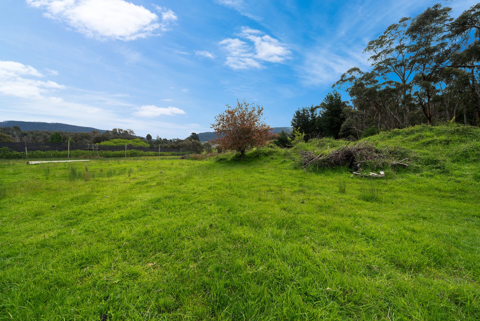  Lot 1 Hydehurst Road LACHLAN 28