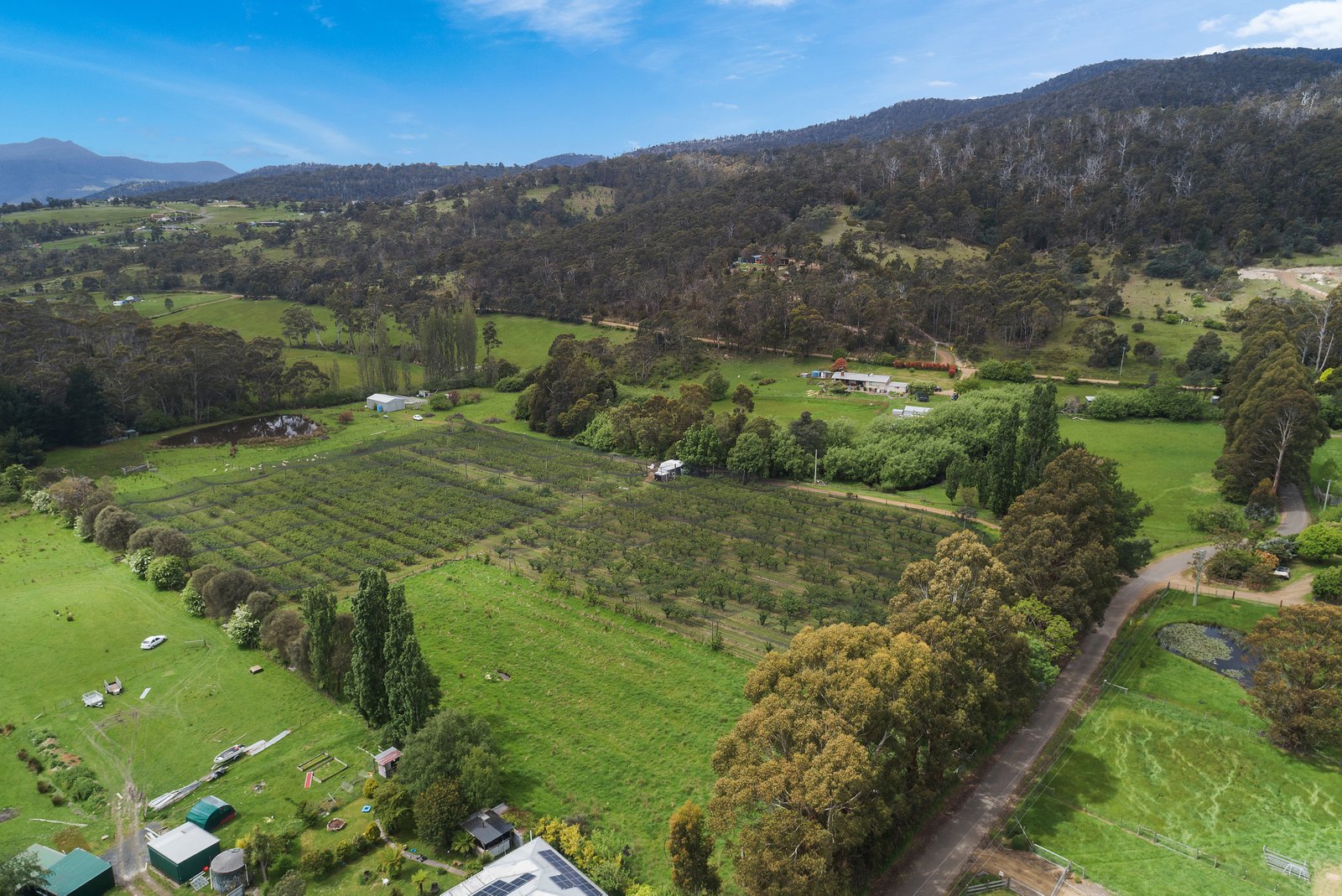  Lot 1 Hydehurst Road LACHLAN 29