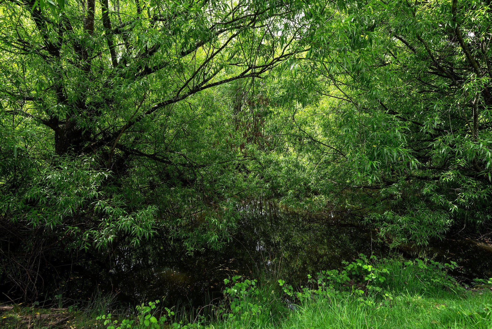  Lot 1 Hydehurst Road LACHLAN 31