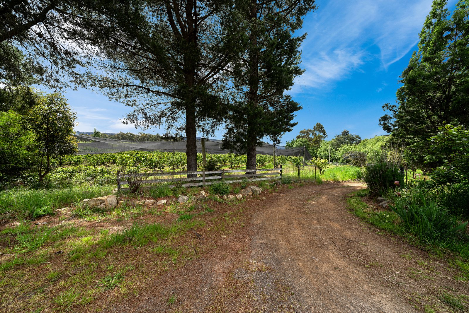  Lot 1 Hydehurst Road LACHLAN 33