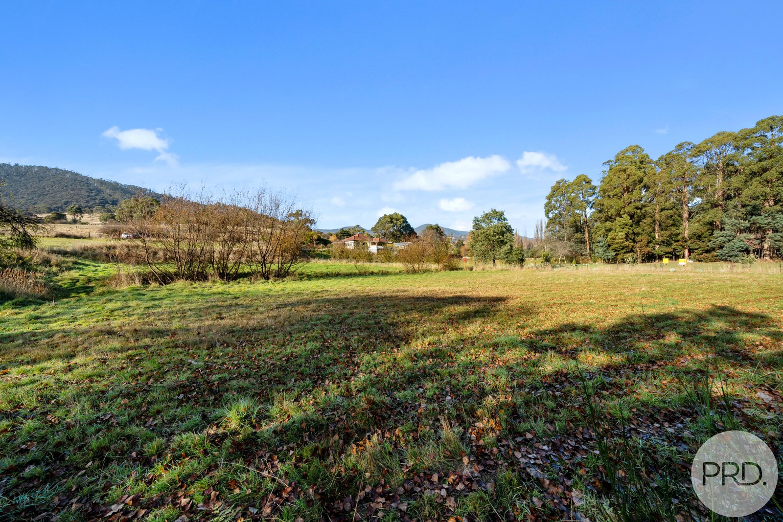 Lot 1 Lachlan Road LACHLAN 5