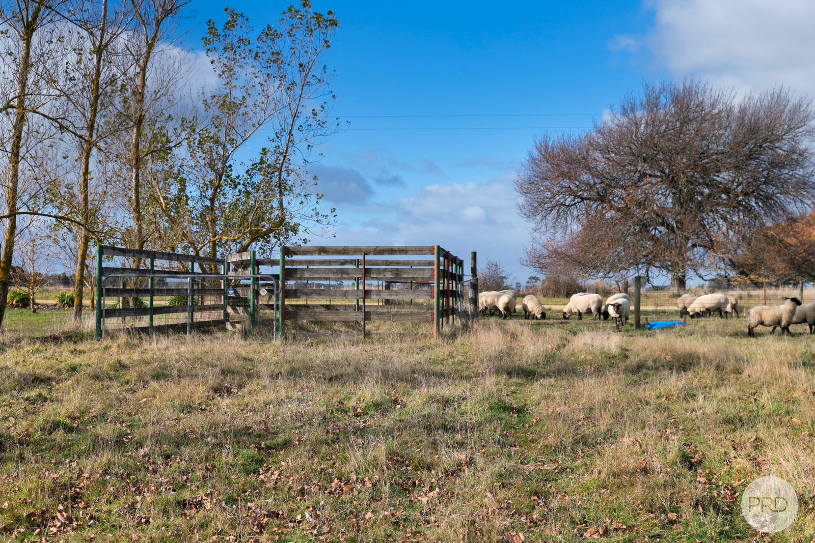 Lot 1 & Lot 1 Part of 79 Kielys Road NAVIGATORS 4