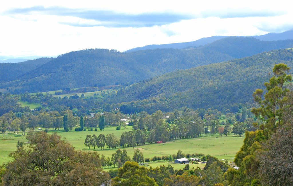 Lot 1 Lower Swamp Road LACHLAN 1