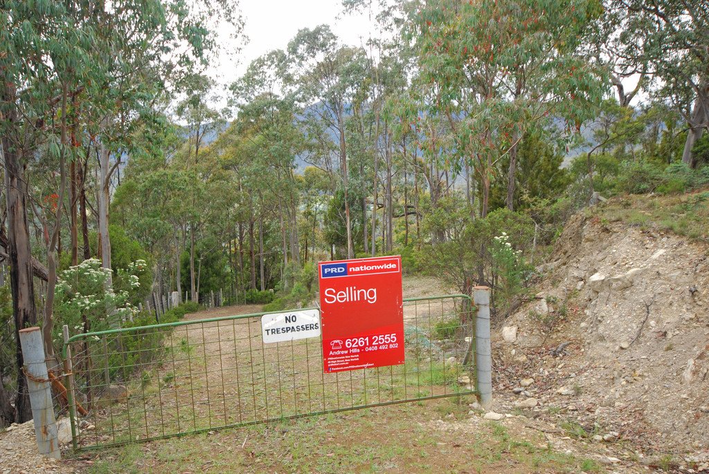 Lot 1 Lower Swamp Road LACHLAN 2