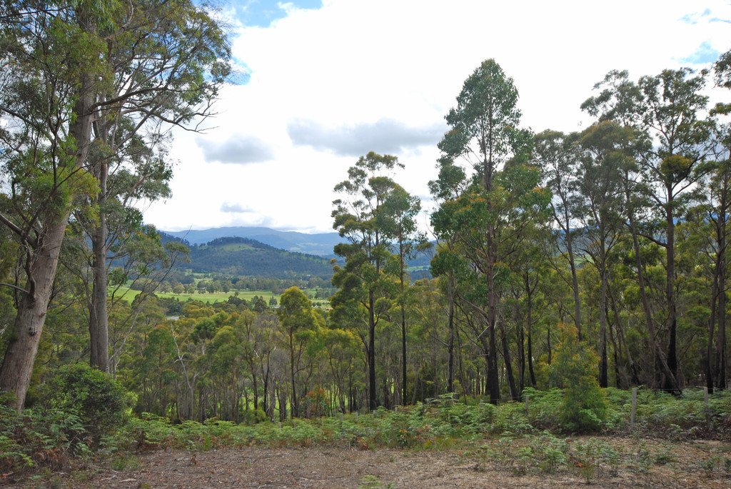 Lot 1 Lower Swamp Road LACHLAN 5