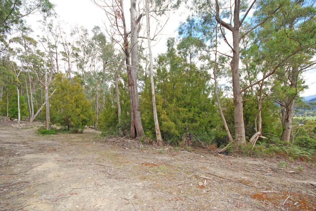 Lot 1 Lower Swamp Road LACHLAN 7