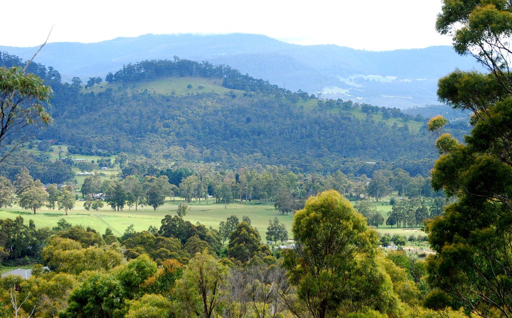 Lot 1 Lower Swamp Road LACHLAN 8