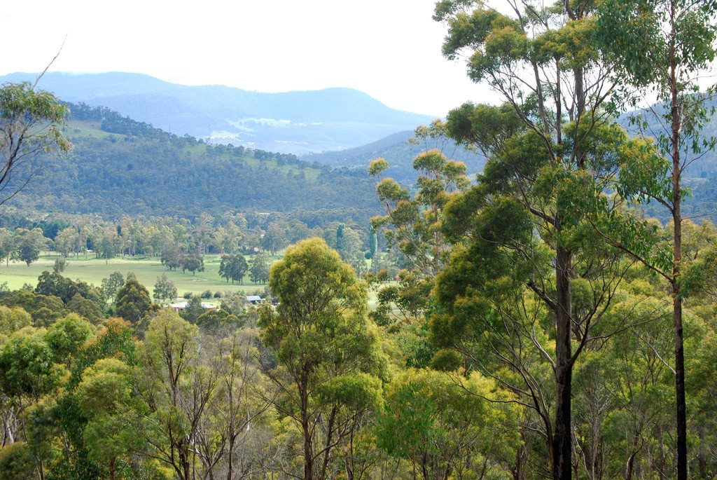 Lot 1 Lower Swamp Road LACHLAN 9