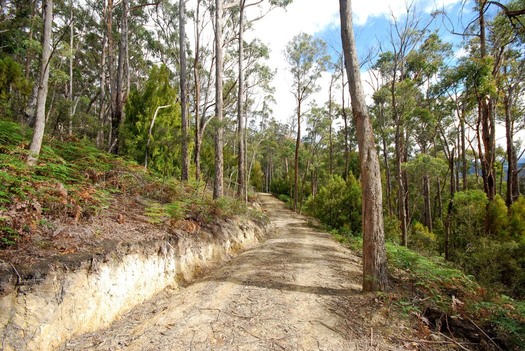 Lot 1 Lower Swamp Road LACHLAN 10
