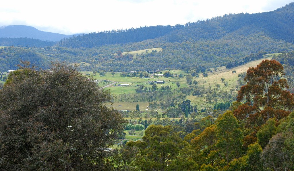 Lot 1 Lower Swamp Road LACHLAN 12