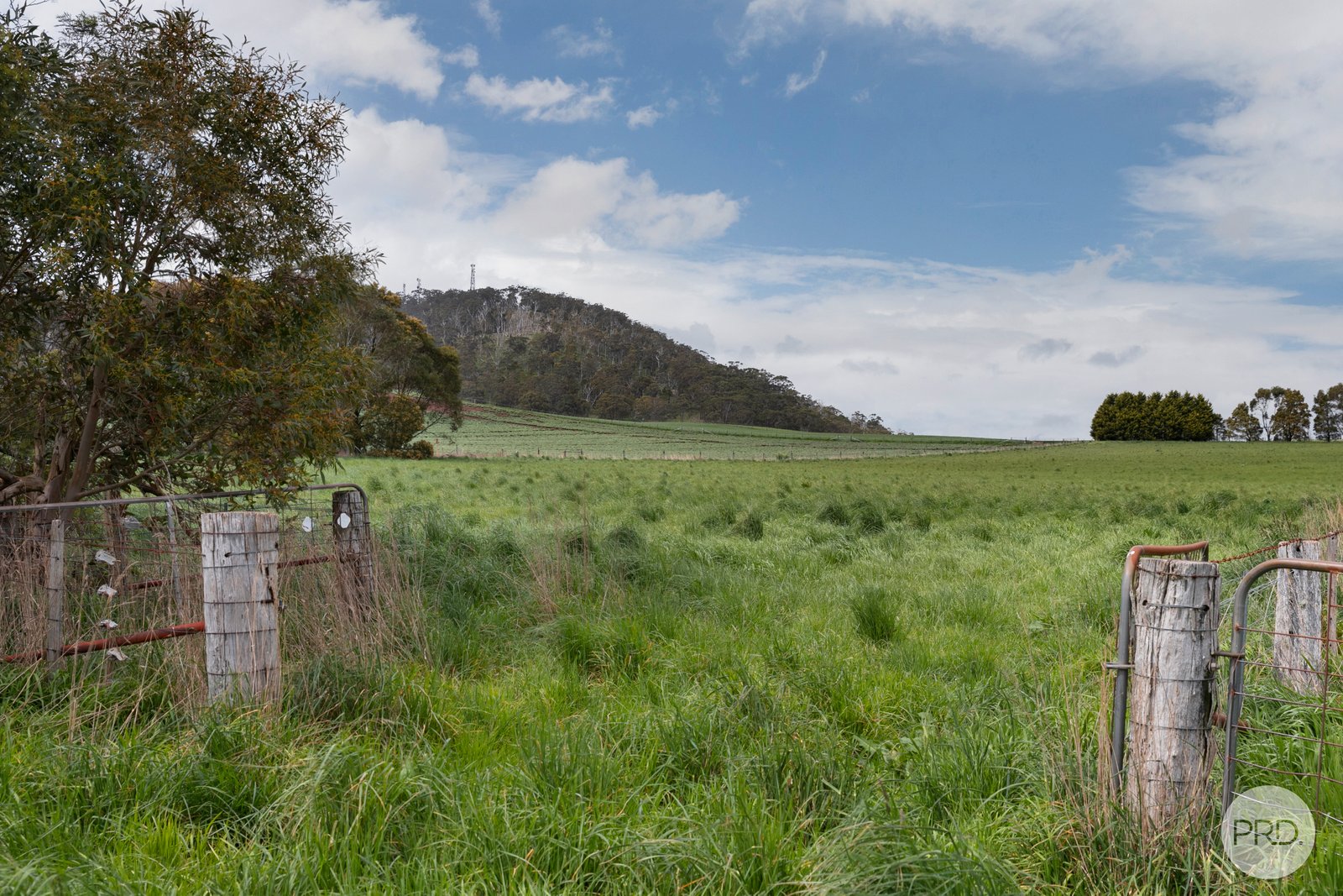 Lot 1 Mahars Road LEIGH CREEK 6