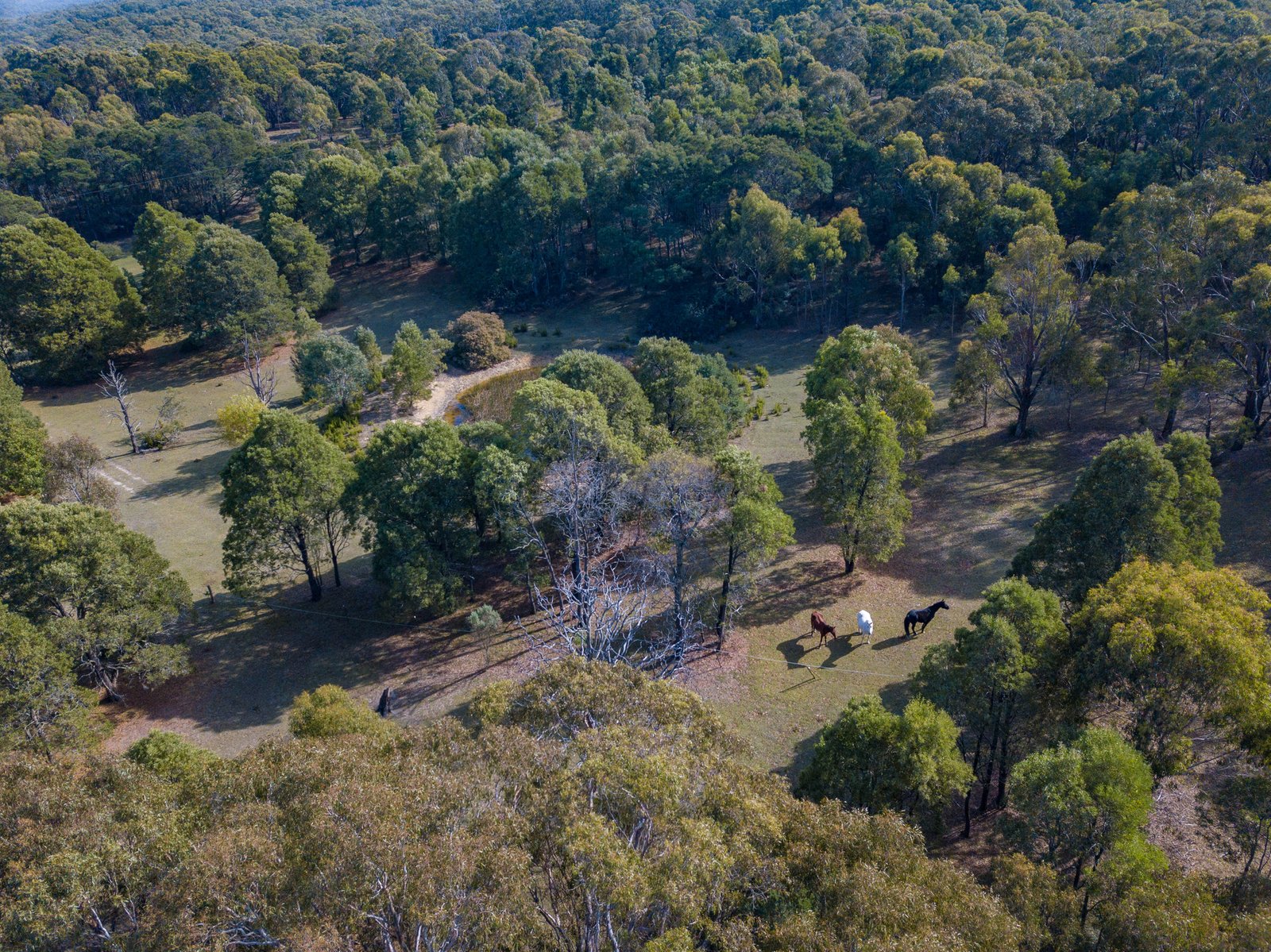 Gallery: Lot 1 Newtown Berringa