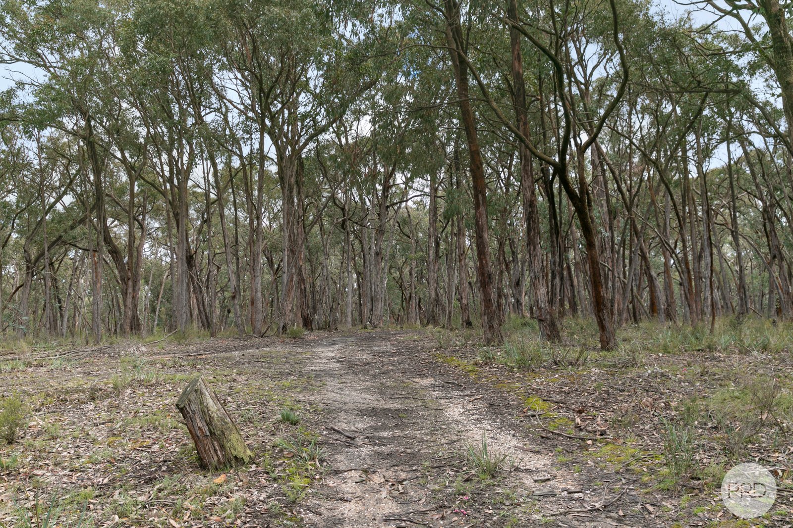  Nidschelms Lane DURHAM LEAD 5