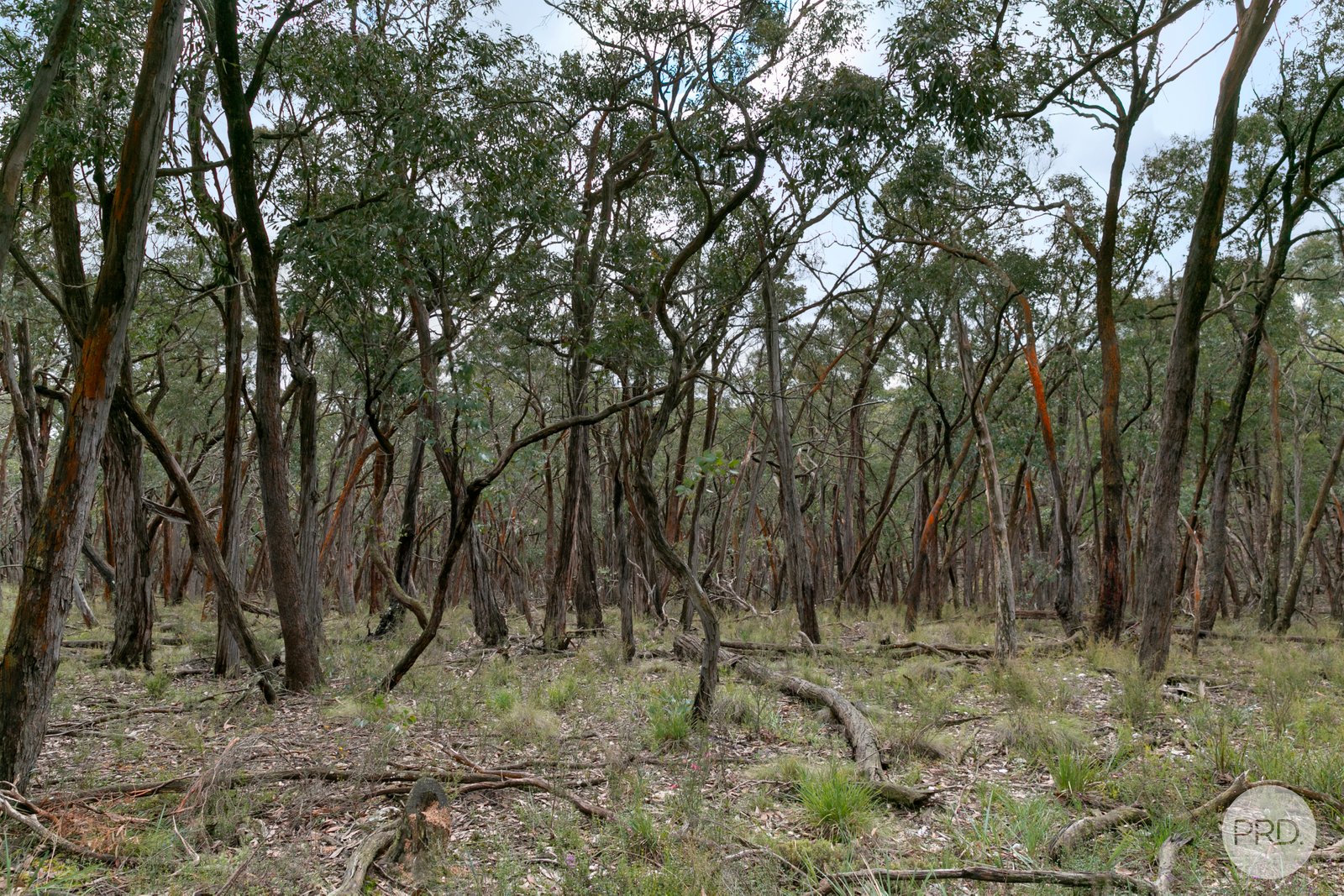  Nidschelms Lane DURHAM LEAD 8