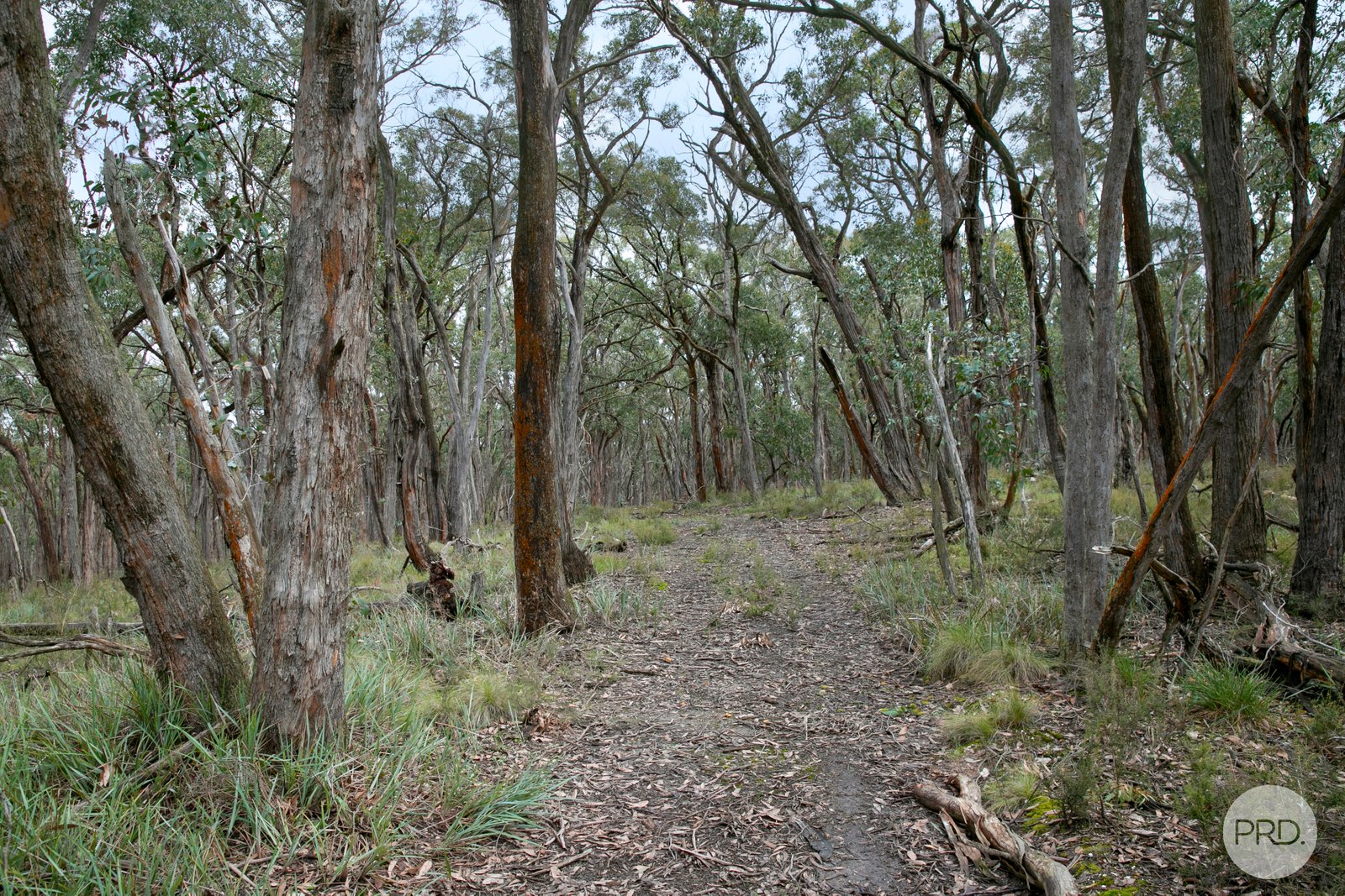  Nidschelms Lane DURHAM LEAD 9